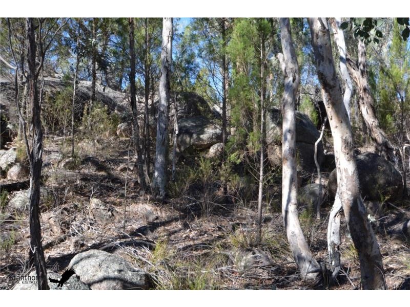 160 Watters Road, Ballandean QLD 4382