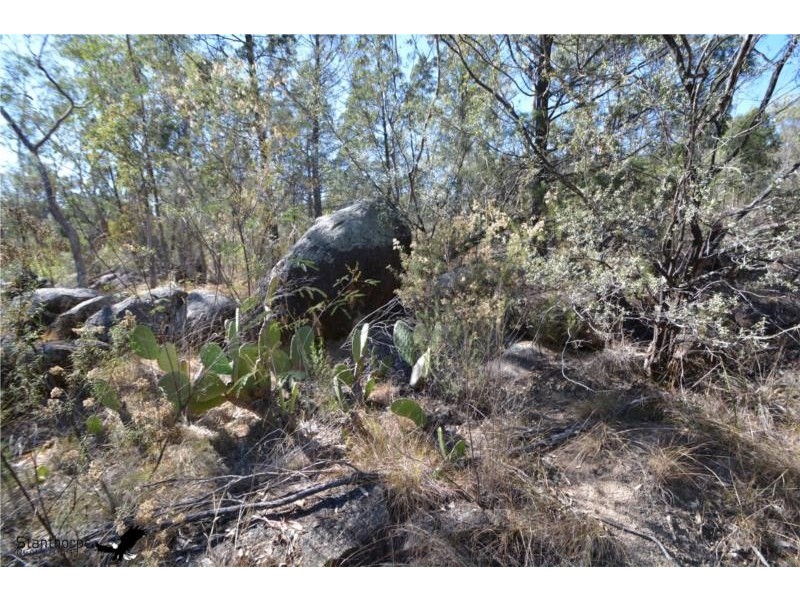 160 Watters Road, Ballandean QLD 4382