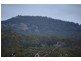 1705 Rabbit Fence Road, Pozieres QLD 4352