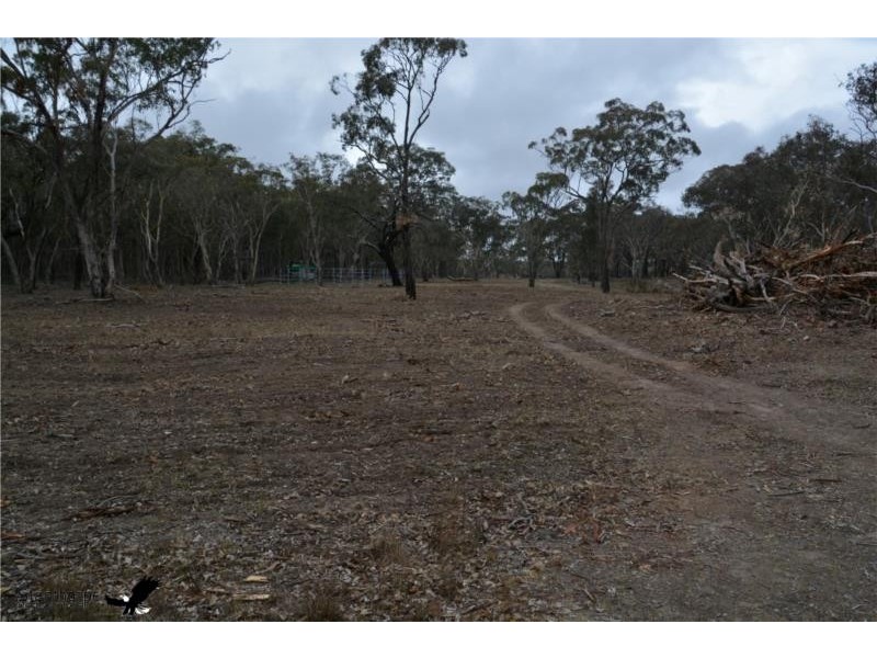 1705 Rabbit Fence Road, Pozieres QLD 4352