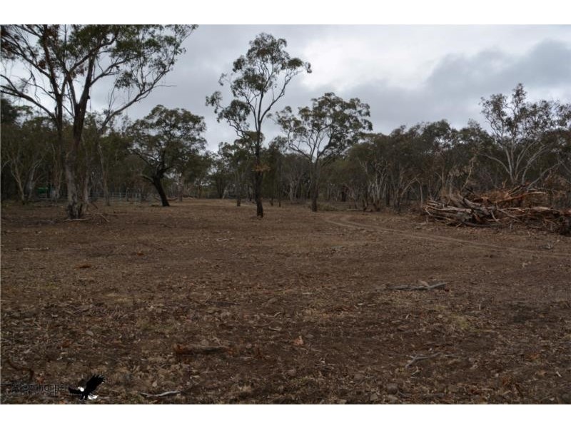 1705 Rabbit Fence Road, Pozieres QLD 4352