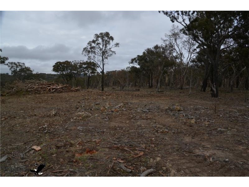 1705 Rabbit Fence Road, Pozieres QLD 4352