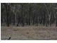 1705 Rabbit Fence Road, Pozieres QLD 4352