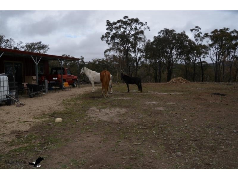 1705 Rabbit Fence Road, Pozieres QLD 4352