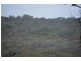 1705 Rabbit Fence Road, Pozieres QLD 4352