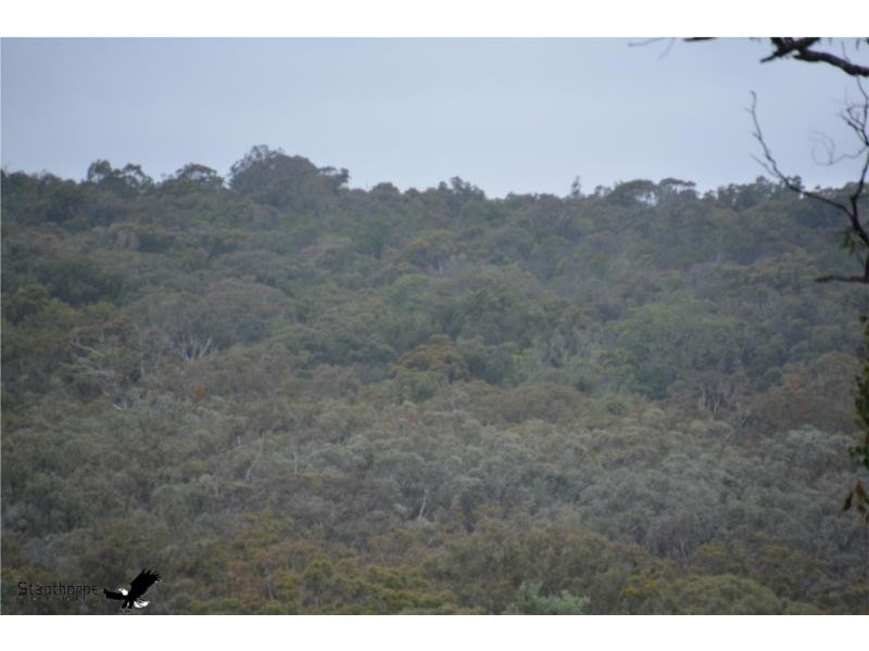 1705 Rabbit Fence Road, Pozieres QLD 4352