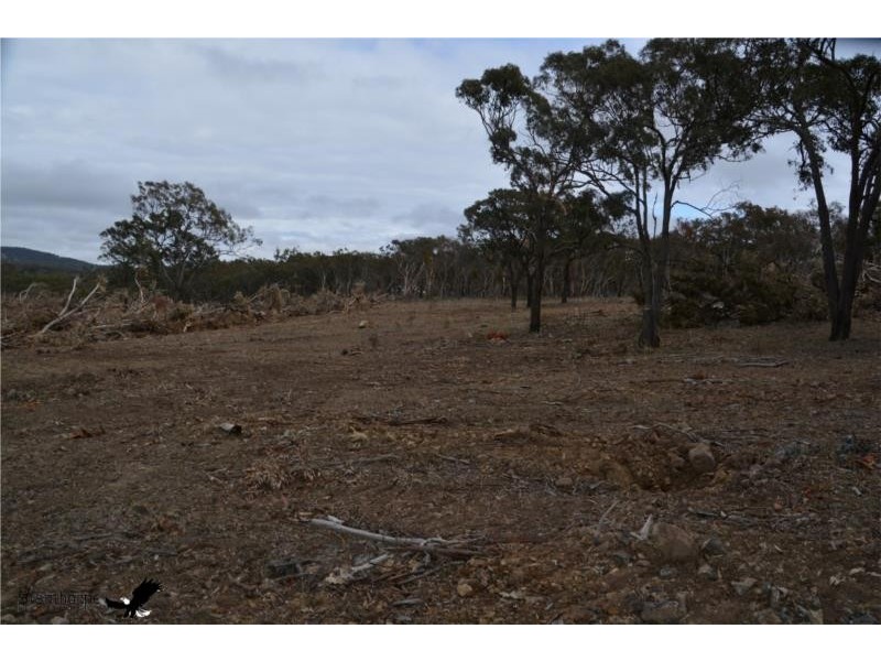 1705 Rabbit Fence Road, Pozieres QLD 4352