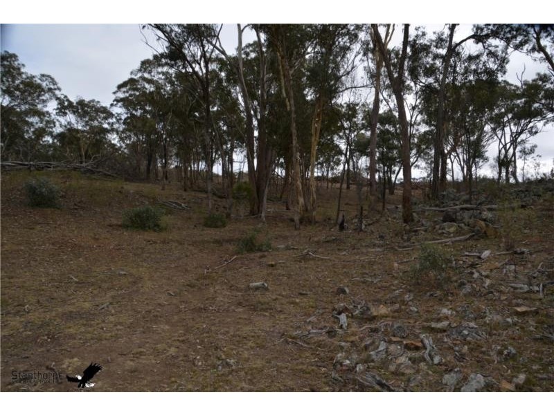 1705 Rabbit Fence Road, Pozieres QLD 4352