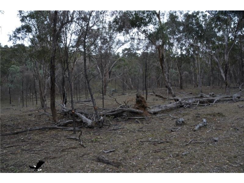 1705 Rabbit Fence Road, Pozieres QLD 4352