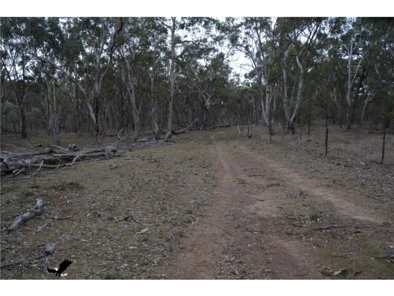 1705 Rabbit Fence Road, Pozieres QLD 4352