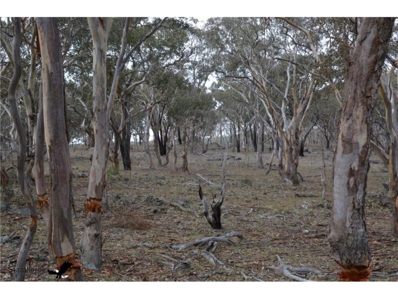 1705 Rabbit Fence Road, Pozieres QLD 4352