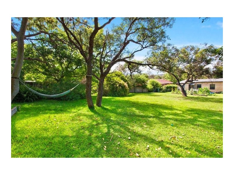 11 Tristram Road, Beacon Hill NSW 2100