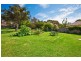11 Tristram Road, Beacon Hill NSW 2100