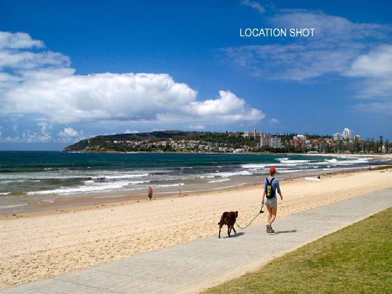 116  Queenscliff Road, Queenscliff NSW 2096