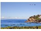 1 Coutts Crescent, Collaroy NSW 2097