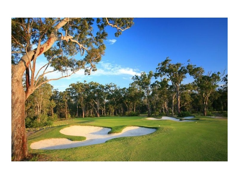 25 Sunningdale Circuit, Medowie NSW 2318