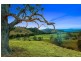 3108 Allyn River Road, Upper Allyn NSW 2311