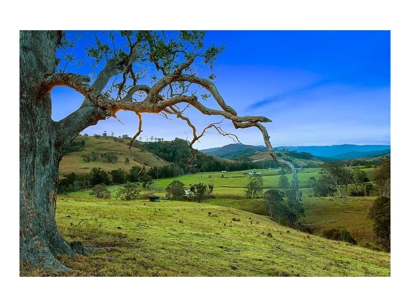 3108 Allyn River Road, Upper Allyn NSW 2311