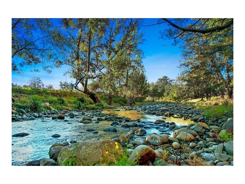 3108 Allyn River Road, Upper Allyn NSW 2311