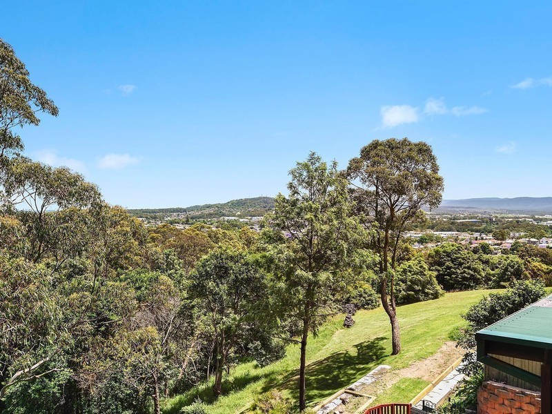 38 Rowes Lane, Cardiff Heights NSW 2285