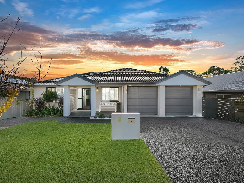 3 Arbutus Street, Valentine NSW 2280