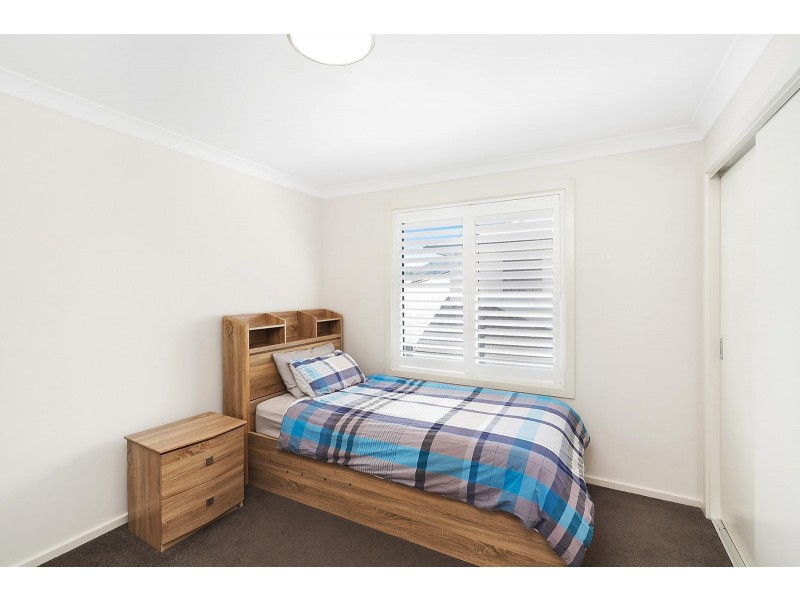 17 Tuckeroo Circuit, Adamstown NSW 2289