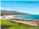 13 Sandon Drive, Bulli NSW 2516