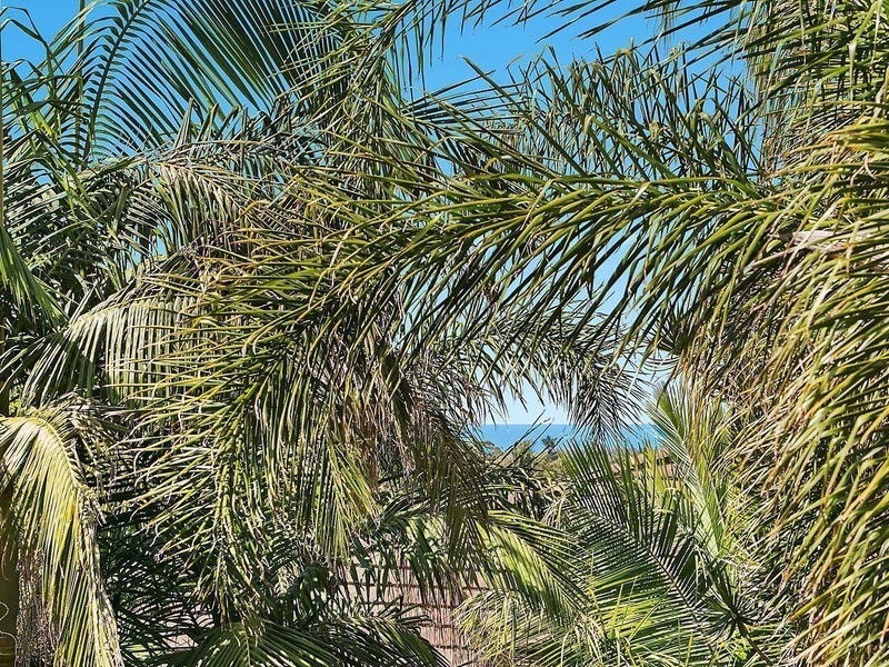 1/21 Parmenter Avenue, Corrimal NSW 2518