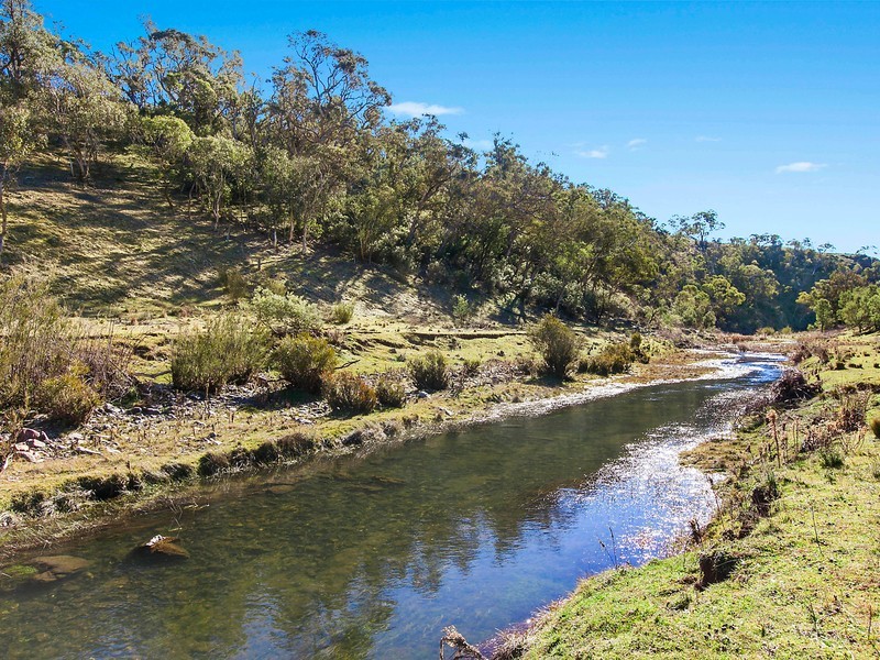 Lot 118 and 32 Richardsons Road, Bombala NSW 2632