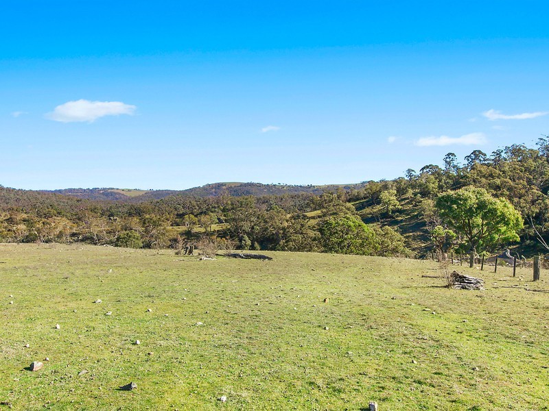 Lot 118 and 32 Richardsons Road, Bombala NSW 2632