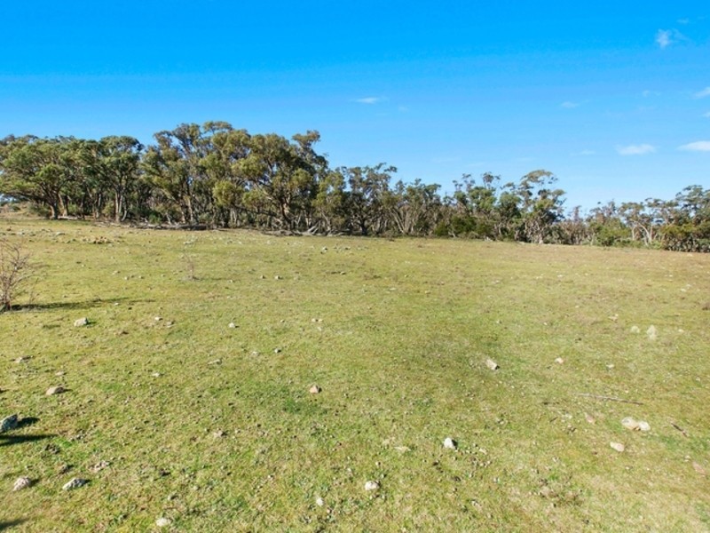 Lot 118 and 32 Richardsons Road, Bombala NSW 2632