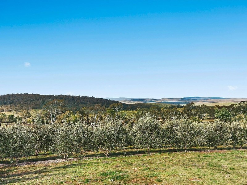 210 Old Dry Plains Road, Cooma NSW 2630