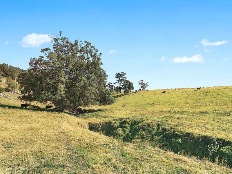 642 Neringla Road, Araluen NSW 2622