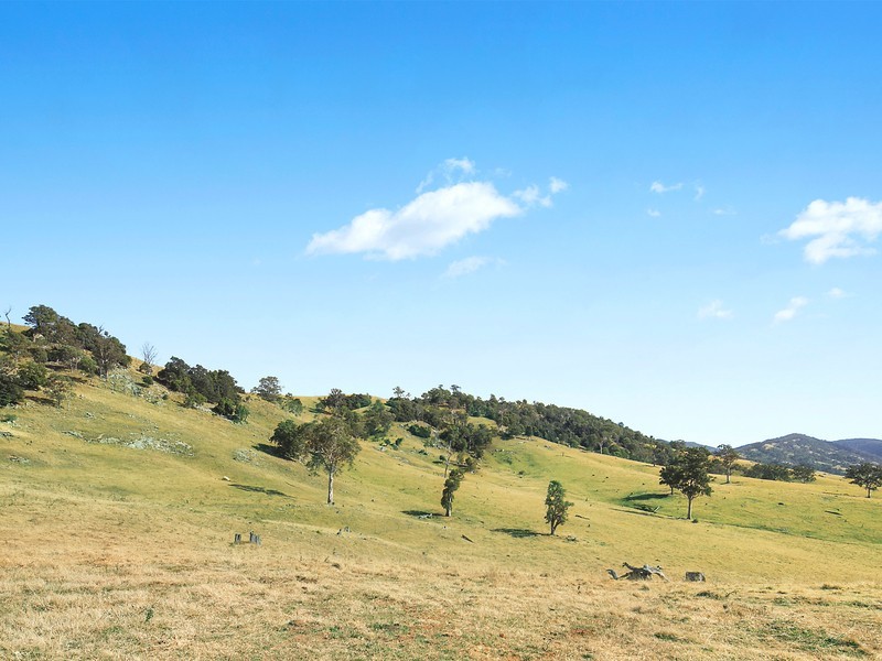 642 Neringla Road, Araluen NSW 2622