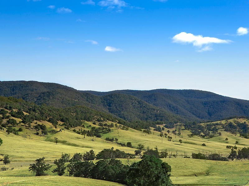 642 Neringla Road, Araluen NSW 2622