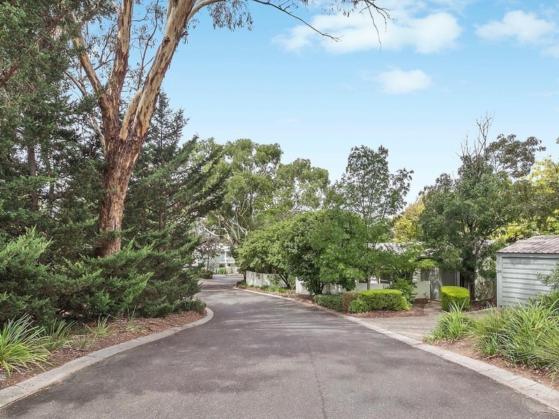 31/29 Pethebridge Street, Pearce ACT 2607