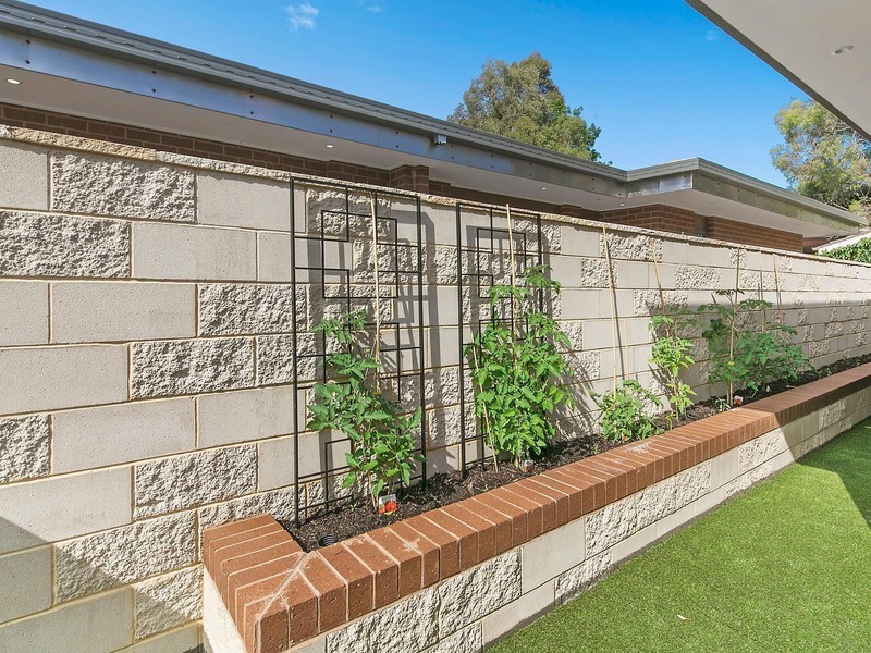 61 Hurley Street, Mawson ACT 2607