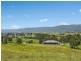 191 Yankees Gap Road, Bemboka NSW 2550