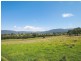 191 Yankees Gap Road, Bemboka NSW 2550