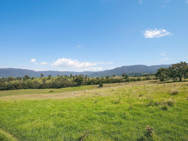 191 Yankees Gap Road, Bemboka NSW 2550