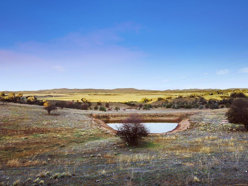 13 Widgiewa Road, Carwoola ACT 2620