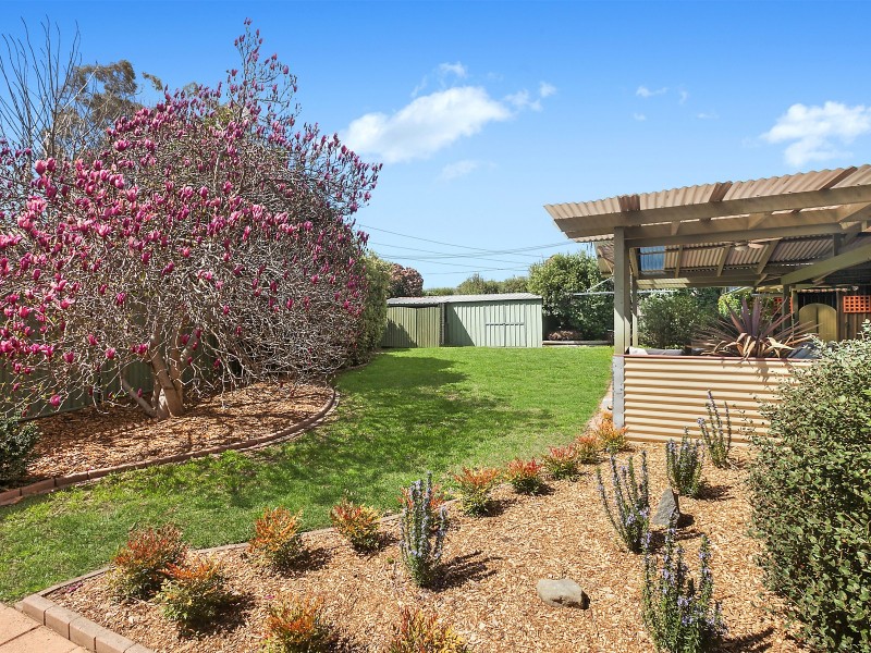 19 Hebblewhite Street, Monash ACT 2904