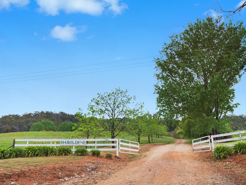 3969 Batlow Road, Batlow NSW 2730