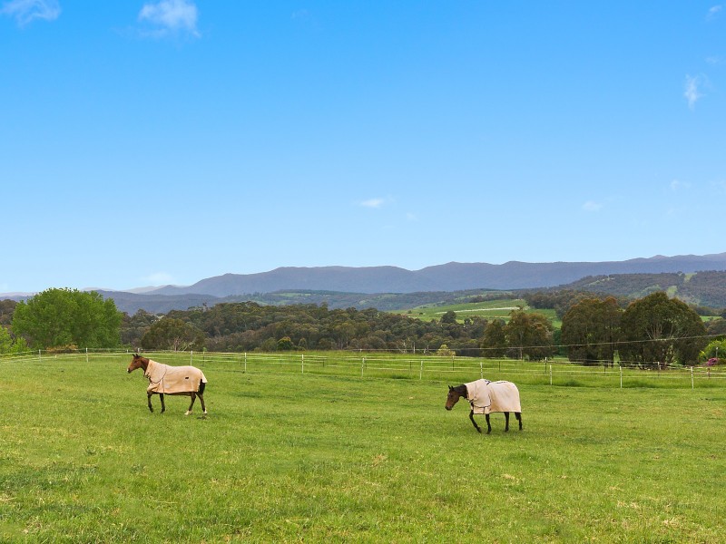 3969 Batlow Road, Batlow NSW 2730