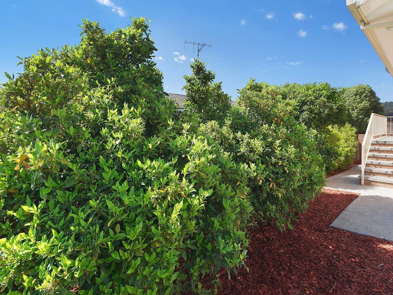 33 Gilmore Place, Queanbeyan NSW 2620