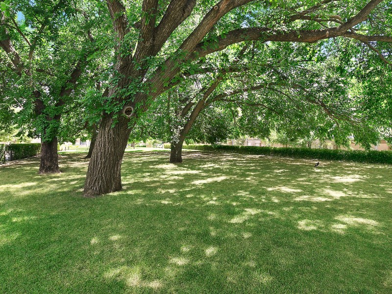 32/48 Bluebell Street, O’connor ACT 2602