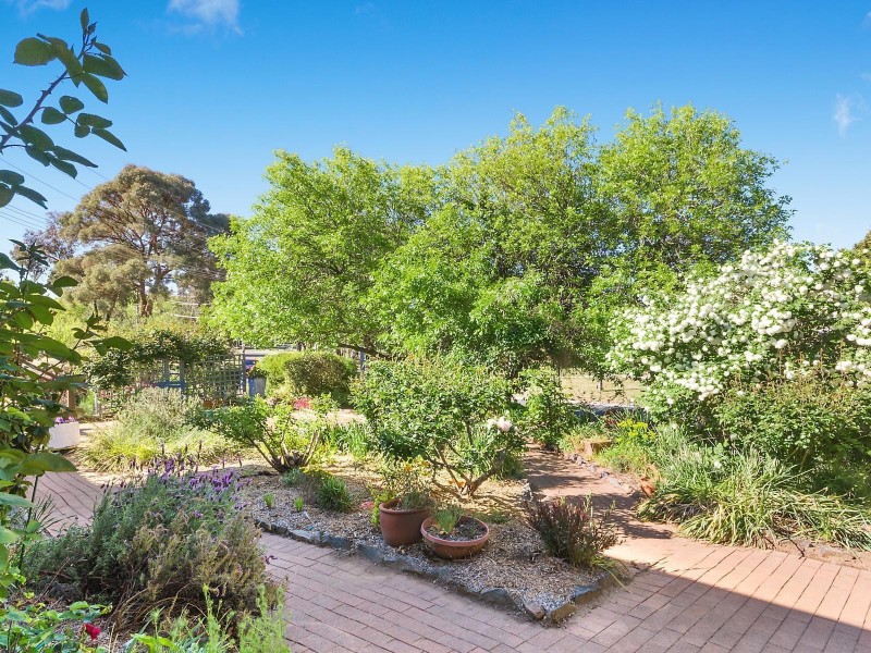 17 Tantangara Street, Duffy ACT 2611