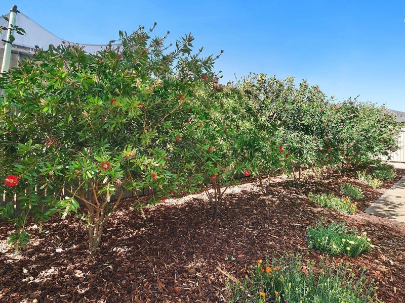 11 Casilda Street, Harrison ACT 2914