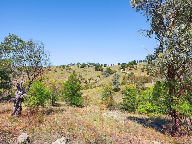 99 Contour Road, The Angle NSW 2620