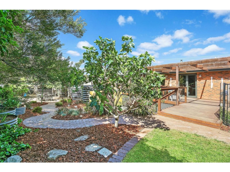 8 Williams Lane, Sutton NSW 2620